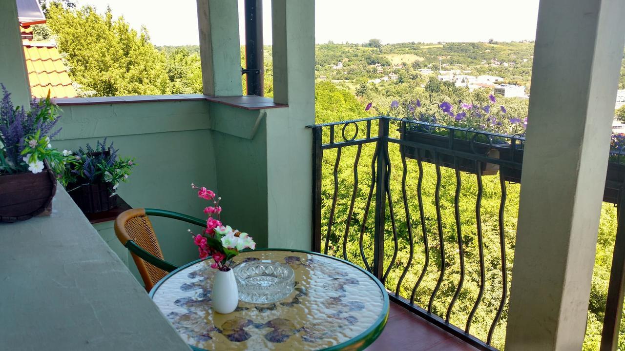 Zielone Wzgorze Na Starowce Apartment Sandomierz Exterior photo