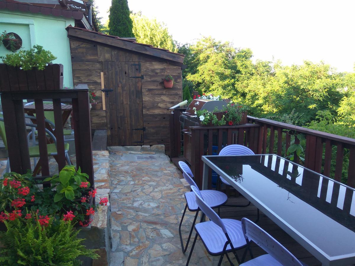 Zielone Wzgorze Na Starowce Apartment Sandomierz Exterior photo